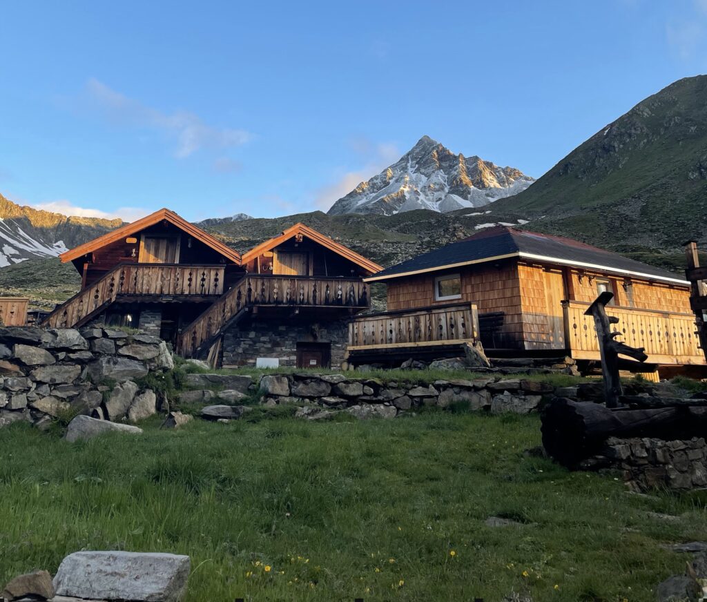 Nordflok – en fortælling om sammenhold i naturen